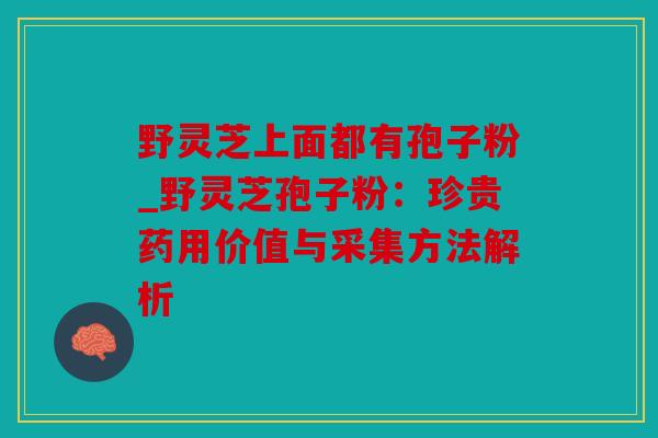 野灵芝上面都有孢子粉_野灵芝孢子粉：珍贵药用价值与采集方法解析