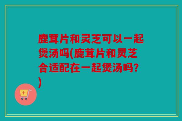 鹿茸片和灵芝可以一起煲汤吗(鹿茸片和灵芝合适配在一起煲汤吗？)