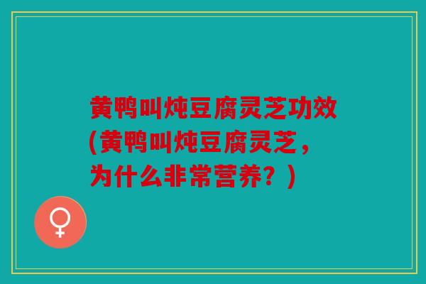 黄鸭叫炖豆腐灵芝功效(黄鸭叫炖豆腐灵芝，为什么非常营养？)