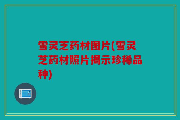 雪灵芝药材图片(雪灵芝药材照片揭示珍稀品种)