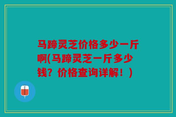 马蹄灵芝价格多少一斤啊(马蹄灵芝一斤多少钱？价格查询详解！)