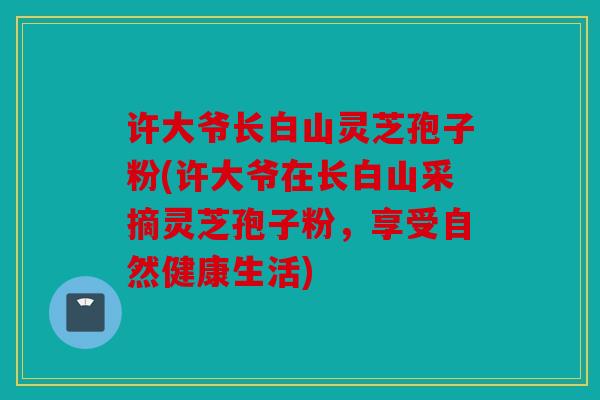 许大爷长白山灵芝孢子粉(许大爷在长白山采摘灵芝孢子粉，享受自然健康生活)