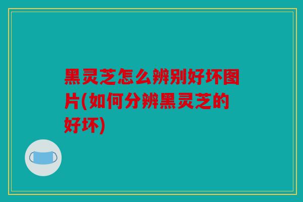 黑灵芝怎么辨别好坏图片(如何分辨黑灵芝的好坏)