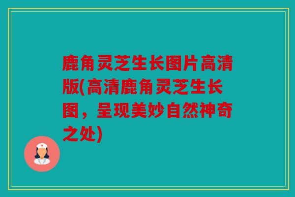 鹿角灵芝生长图片高清版(高清鹿角灵芝生长图，呈现美妙自然神奇之处)