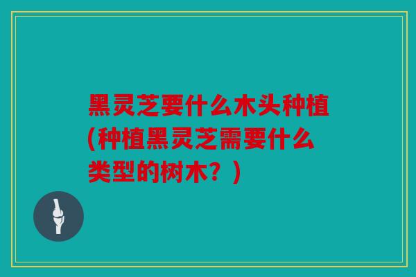 黑灵芝要什么木头种植(种植黑灵芝需要什么类型的树木？)