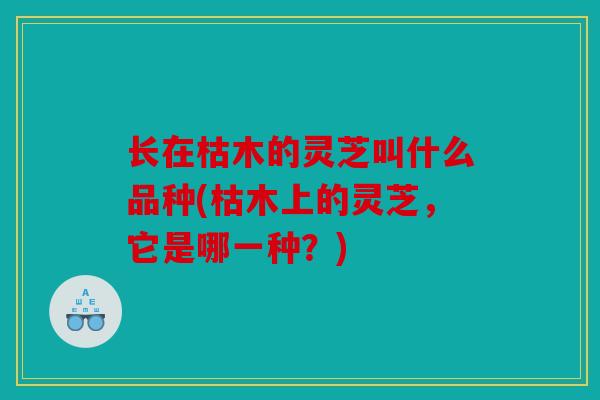 长在枯木的灵芝叫什么品种(枯木上的灵芝，它是哪一种？)