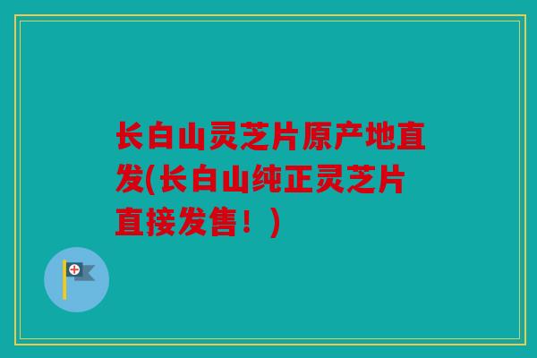 长白山灵芝片原产地直发(长白山纯正灵芝片直接发售！)