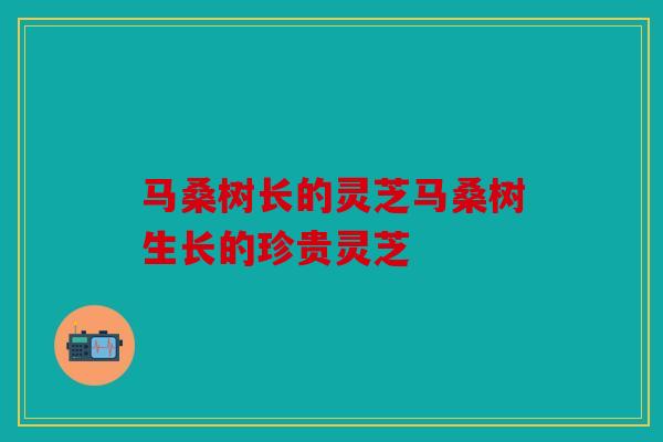 马桑树长的灵芝马桑树生长的珍贵灵芝