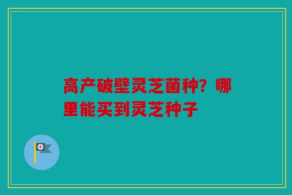 高产破壁灵芝菌种？哪里能买到灵芝种子