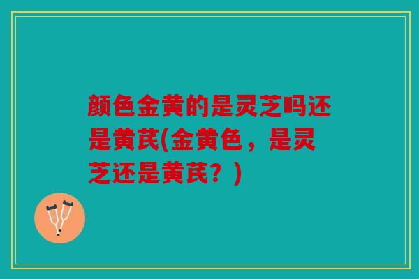 颜色金黄的是灵芝吗还是黄芪(金黄色，是灵芝还是黄芪？)