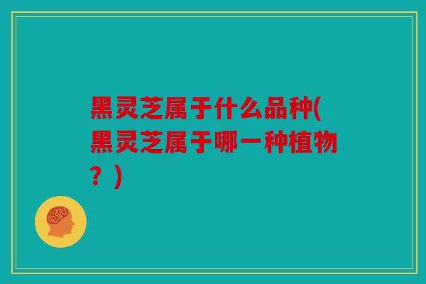 黑灵芝属于什么品种(黑灵芝属于哪一种植物？)