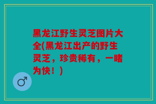 黑龙江野生灵芝图片大全(黑龙江出产的野生灵芝，珍贵稀有，一睹为快！)