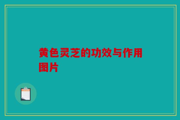 黄色灵芝的功效与作用图片