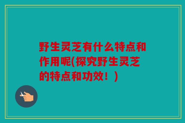 野生灵芝有什么特点和作用呢(探究野生灵芝的特点和功效！)