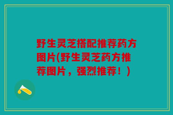野生灵芝搭配推荐药方图片(野生灵芝药方推荐图片，强烈推荐！)