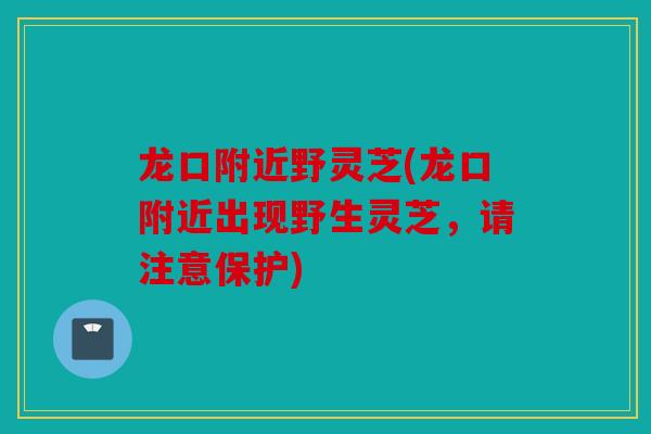 龙口附近野灵芝(龙口附近出现野生灵芝，请注意保护)