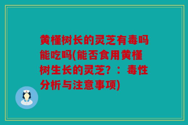黄槿树长的灵芝有毒吗能吃吗(能否食用黄槿树生长的灵芝？：毒性分析与注意事项)