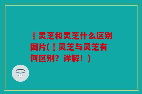 艼灵芝和灵芝什么区别图片(艼灵芝与灵芝有何区别？详解！)