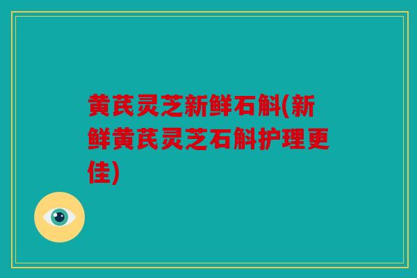 黄芪灵芝新鲜石斛(新鲜黄芪灵芝石斛护理更佳)