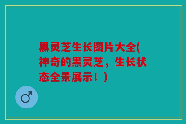 黑灵芝生长图片大全(神奇的黑灵芝，生长状态全景展示！)
