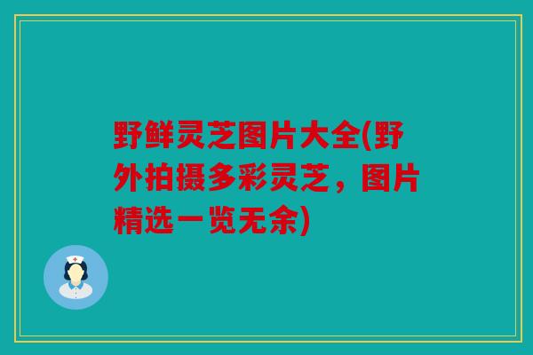野鲜灵芝图片大全(野外拍摄多彩灵芝，图片精选一览无余)