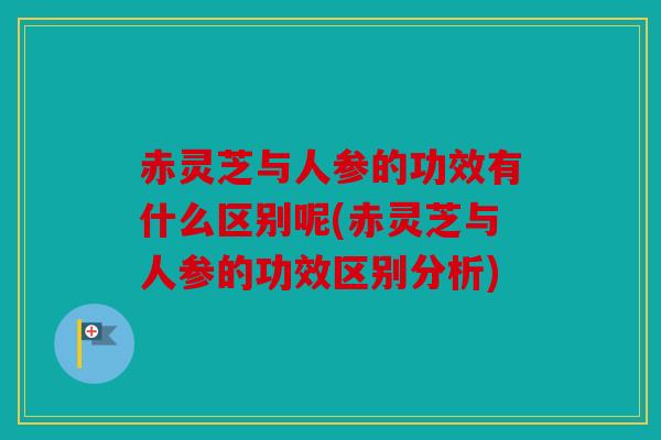 赤灵芝与人参的功效有什么区别呢(赤灵芝与人参的功效区别分析)