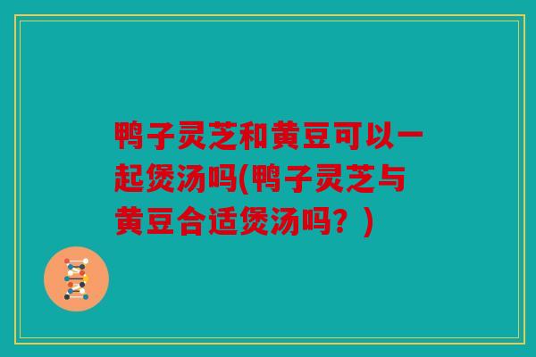 鸭子灵芝和黄豆可以一起煲汤吗(鸭子灵芝与黄豆合适煲汤吗？)