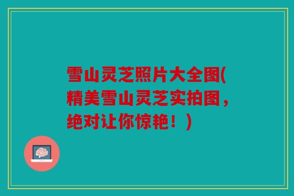 雪山灵芝照片大全图(精美雪山灵芝实拍图，绝对让你惊艳！)