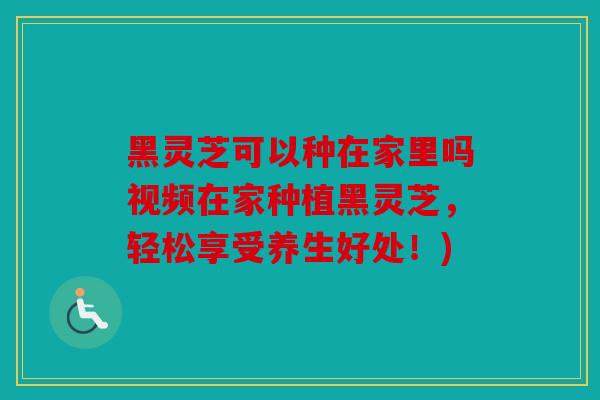 黑灵芝可以种在家里吗视频在家种植黑灵芝，轻松享受养生好处！)