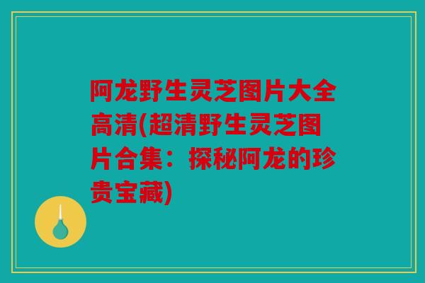 阿龙野生灵芝图片大全高清(超清野生灵芝图片合集：探秘阿龙的珍贵宝藏)