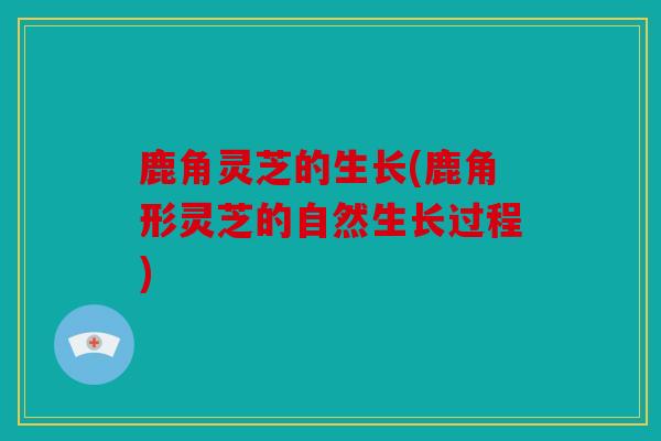 鹿角灵芝的生长(鹿角形灵芝的自然生长过程)