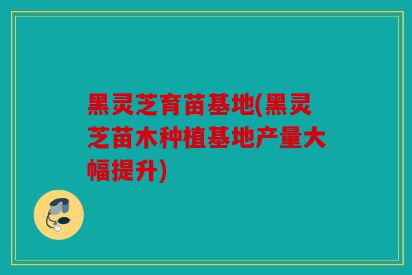黑灵芝育苗基地(黑灵芝苗木种植基地产量大幅提升)