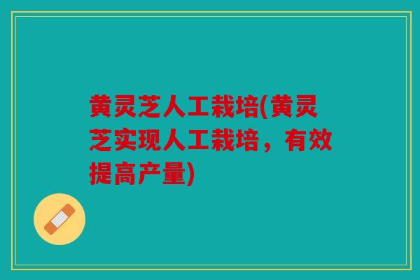 黄灵芝人工栽培(黄灵芝实现人工栽培，有效提高产量)