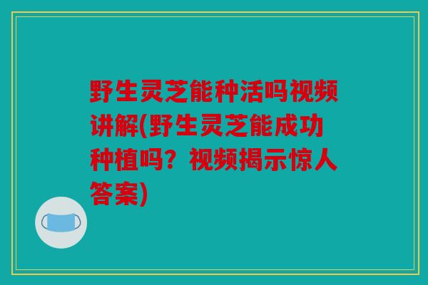 野生灵芝能种活吗视频讲解(野生灵芝能成功种植吗？视频揭示惊人答案)