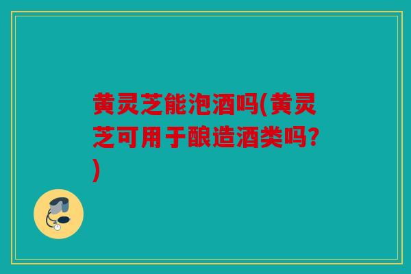 黄灵芝能泡酒吗(黄灵芝可用于酿造酒类吗？)