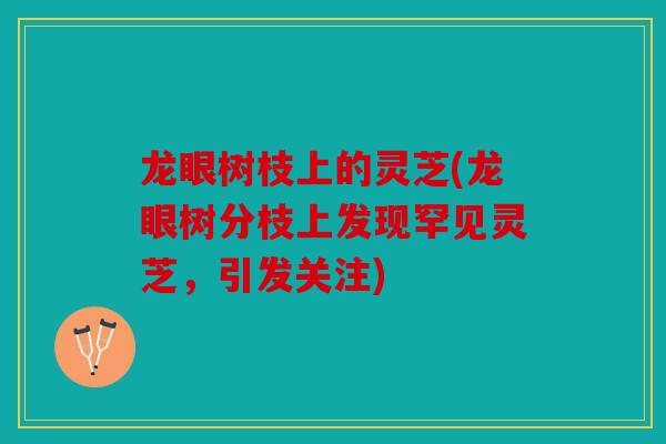 龙眼树枝上的灵芝(龙眼树分枝上发现罕见灵芝，引发关注)