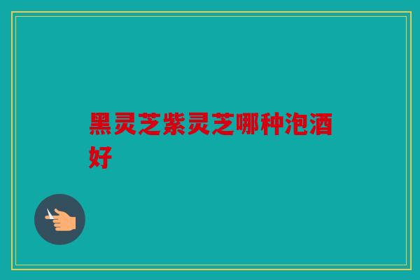 黑灵芝紫灵芝哪种泡酒好
