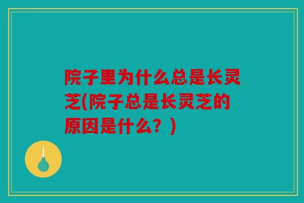 院子里为什么总是长灵芝(院子总是长灵芝的原因是什么？)