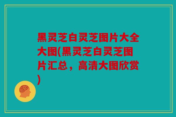 黑灵芝白灵芝图片大全大图(黑灵芝白灵芝图片汇总，高清大图欣赏)