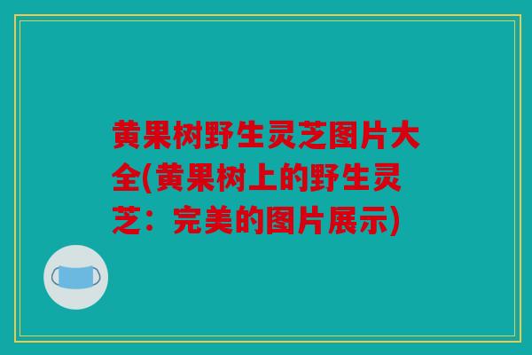 黄果树野生灵芝图片大全(黄果树上的野生灵芝：完美的图片展示)