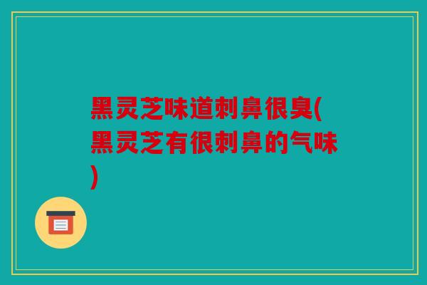 黑灵芝味道刺鼻很臭(黑灵芝有很刺鼻的气味)