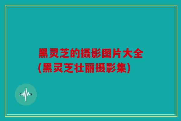 黑灵芝的摄影图片大全(黑灵芝壮丽摄影集)