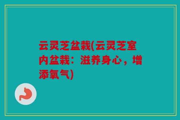 云灵芝盆栽(云灵芝室内盆栽：滋养身心，增添氧气)