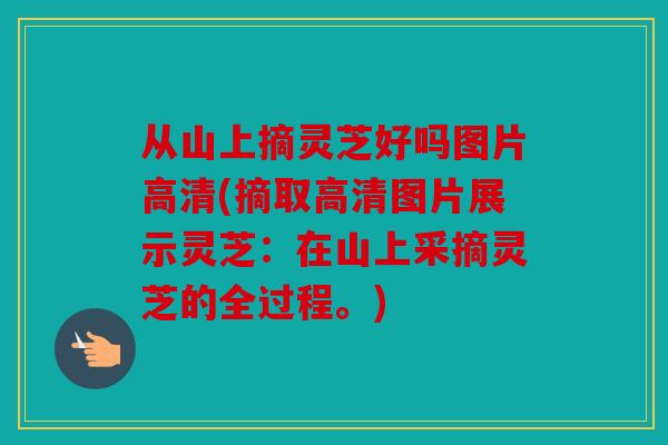 从山上摘灵芝好吗图片高清(摘取高清图片展示灵芝：在山上采摘灵芝的全过程。)