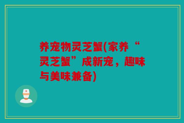 养宠物灵芝蟹(家养“灵芝蟹”成新宠，趣味与美味兼备)