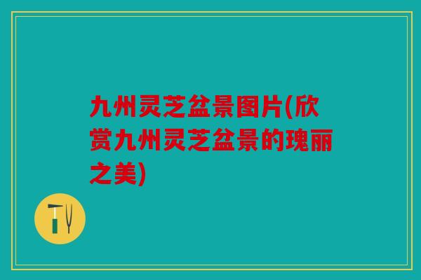 九州灵芝盆景图片(欣赏九州灵芝盆景的瑰丽之美)
