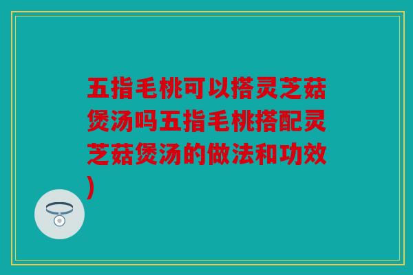 五指毛桃可以搭灵芝菇煲汤吗五指毛桃搭配灵芝菇煲汤的做法和功效)