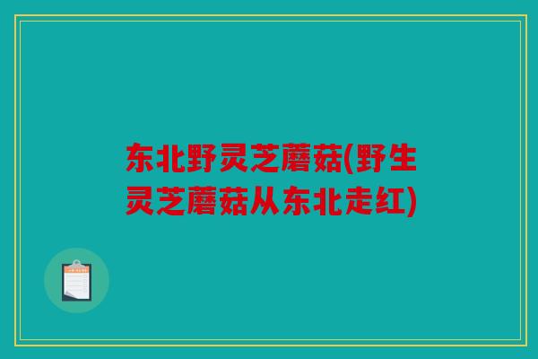 东北野灵芝蘑菇(野生灵芝蘑菇从东北走红)