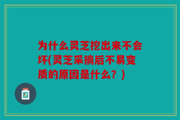 为什么灵芝挖出来不会坏(灵芝采摘后不易变质的原因是什么？)