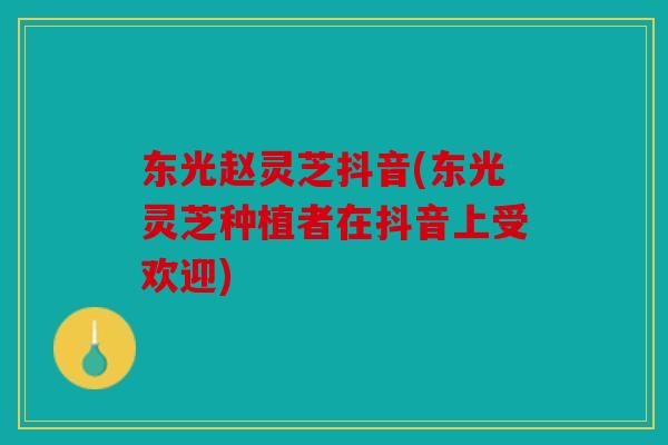 东光赵灵芝抖音(东光灵芝种植者在抖音上受欢迎)